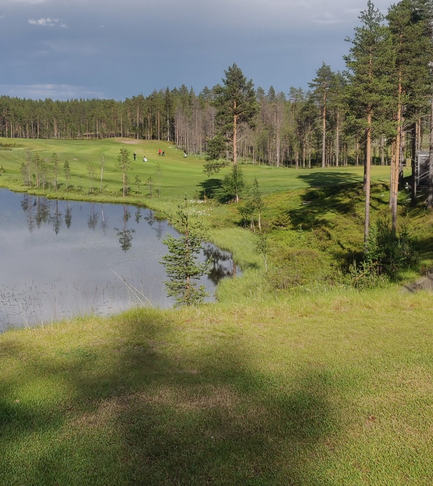 Rukan kesä